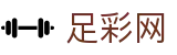 世界杯买球平台安全投注通道与赔率红单 - 中国足彩网
